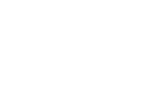 Alis Viagens